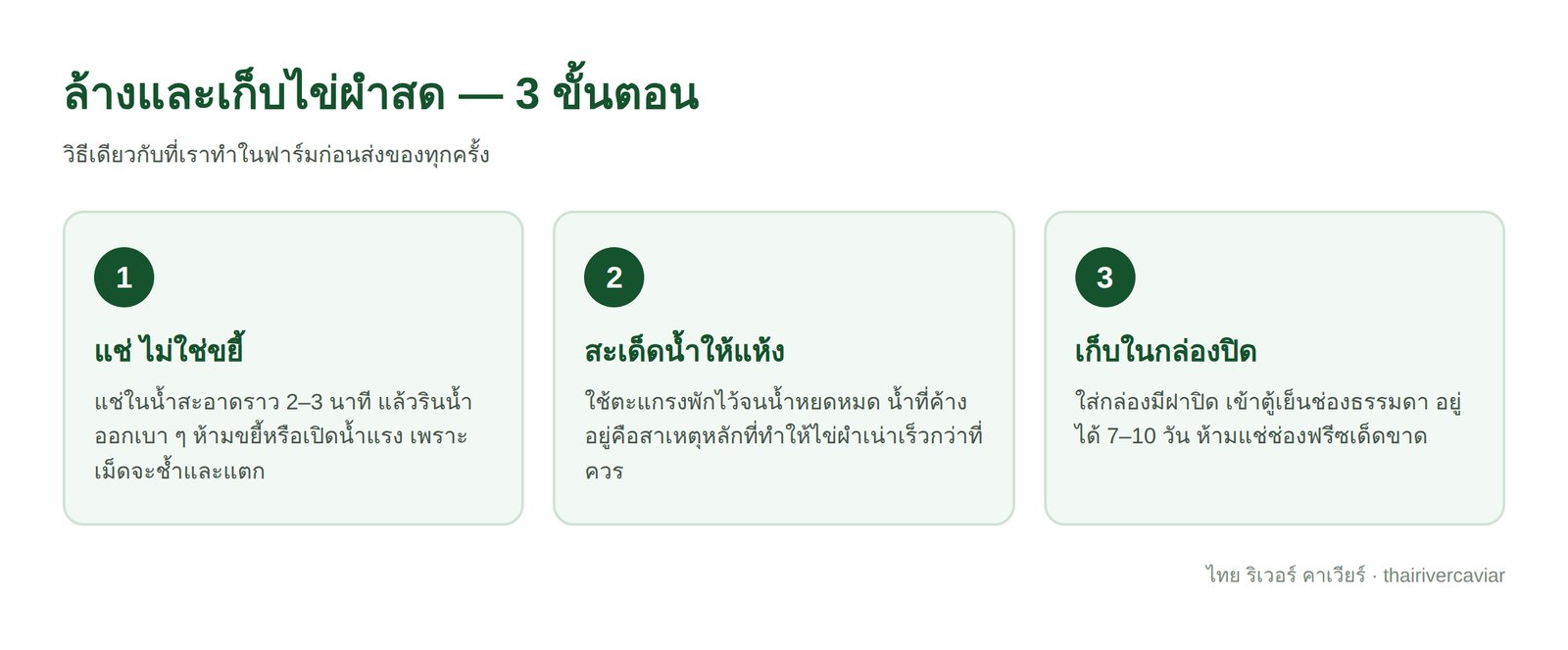 3 ขั้นตอนล้างและเก็บไข่ผำสด