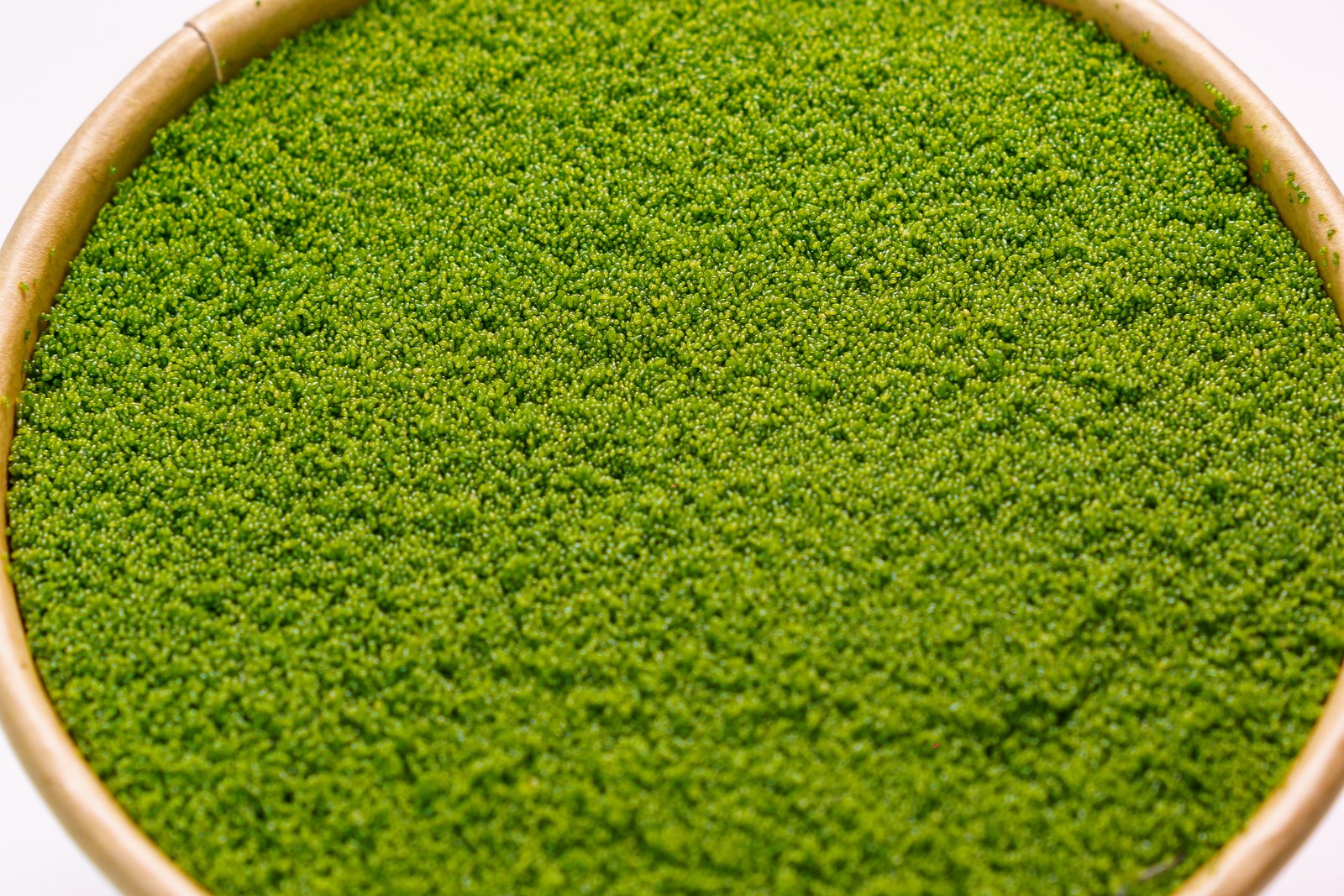 Close-up of fresh Wolffia grains